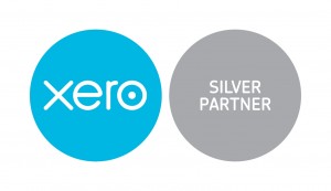 Xero Silver Partner Logo